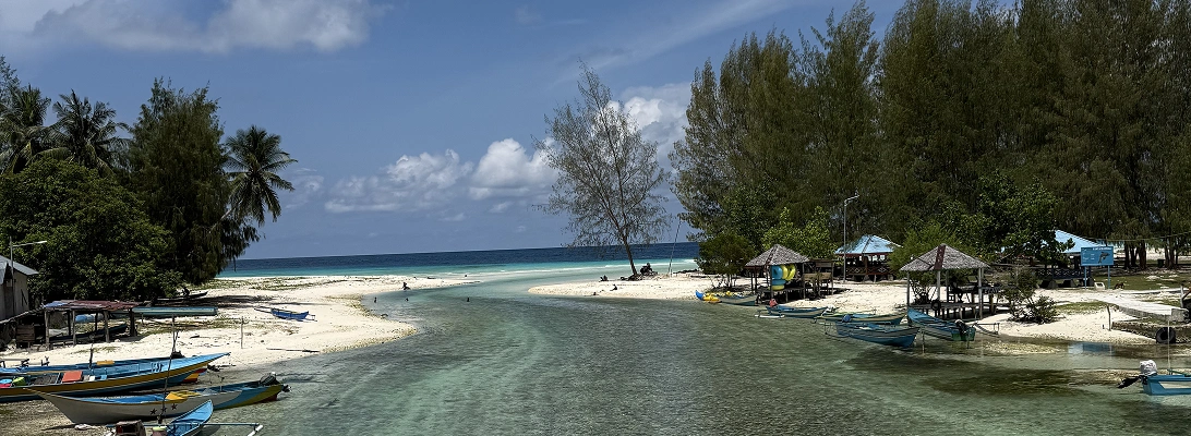 Environmental impact